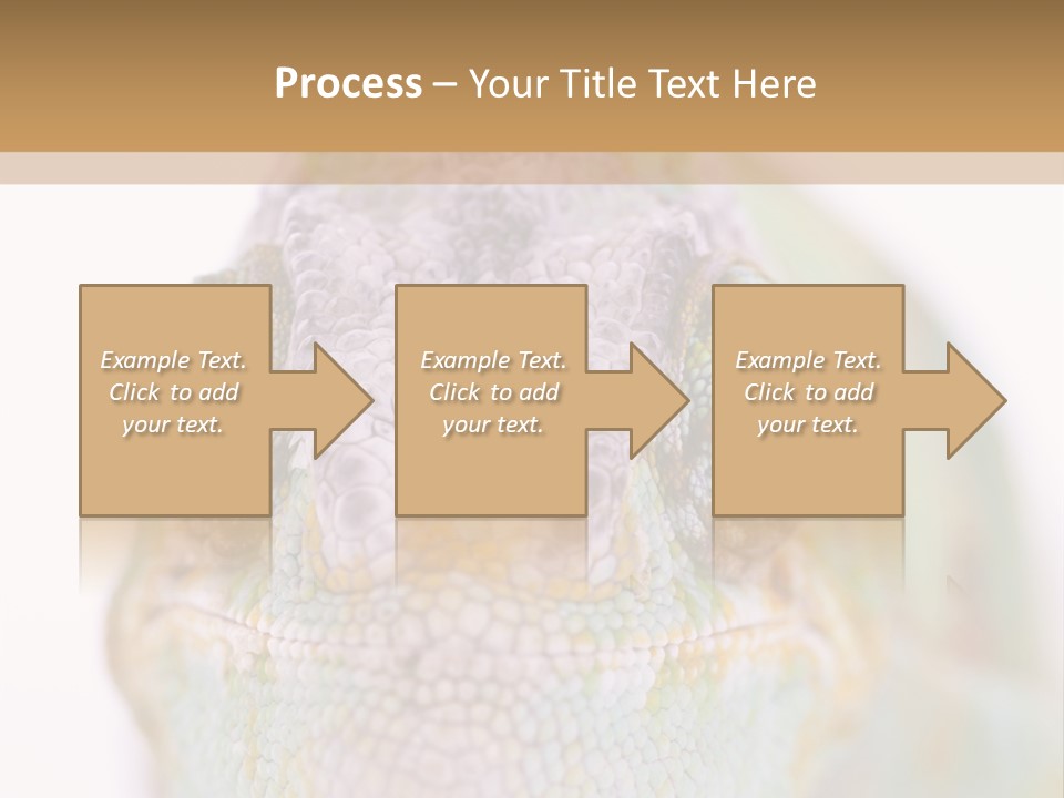 On Top Of Stem Flower PowerPoint Template