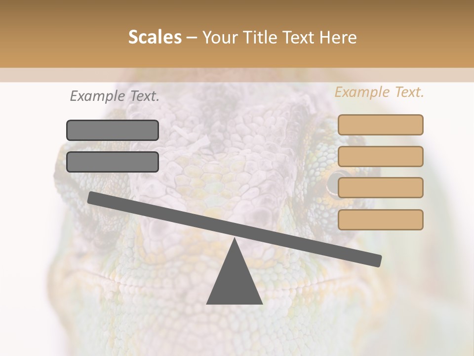 On Top Of Stem Flower PowerPoint Template