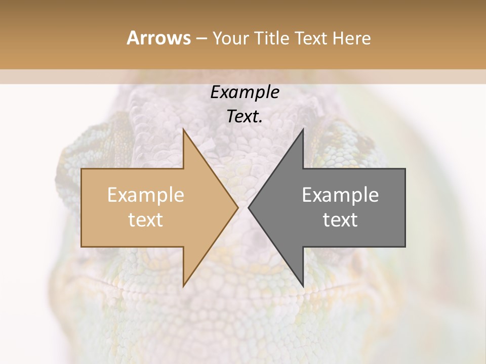 On Top Of Stem Flower PowerPoint Template