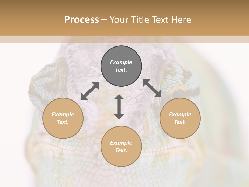 On Top Of Stem Flower PowerPoint Template