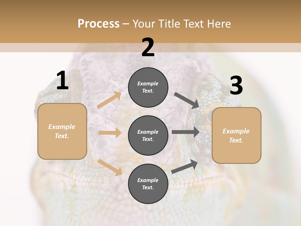 On Top Of Stem Flower PowerPoint Template