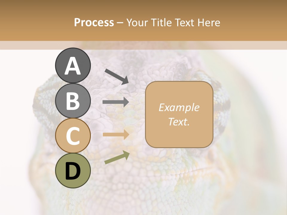 On Top Of Stem Flower PowerPoint Template