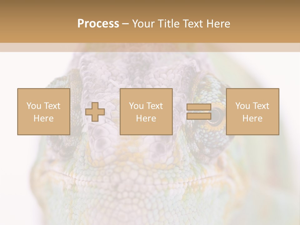 On Top Of Stem Flower PowerPoint Template