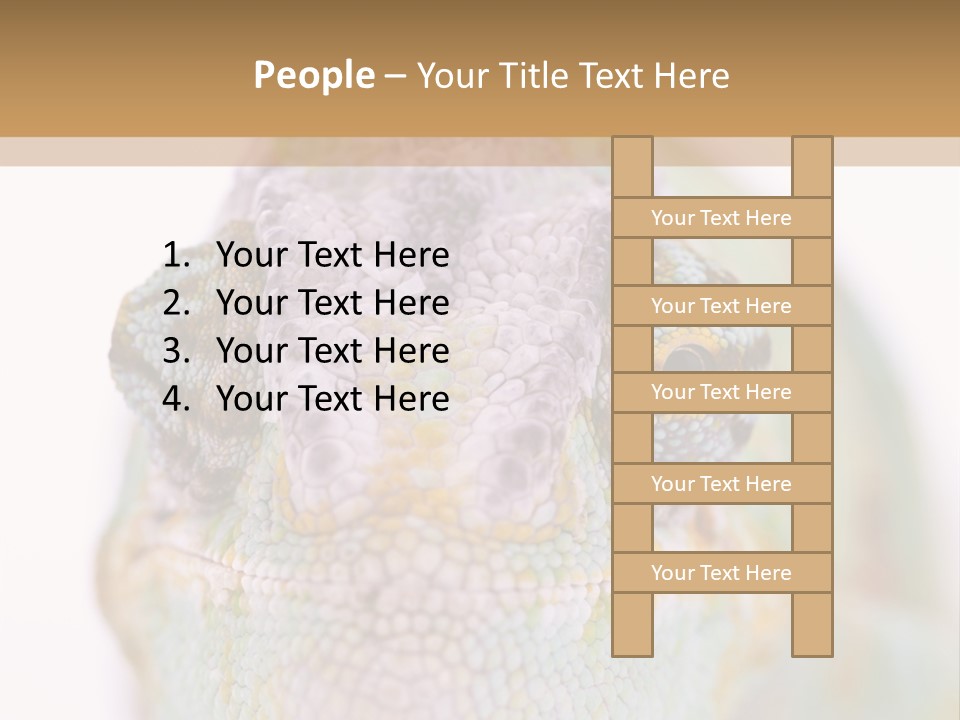 On Top Of Stem Flower PowerPoint Template