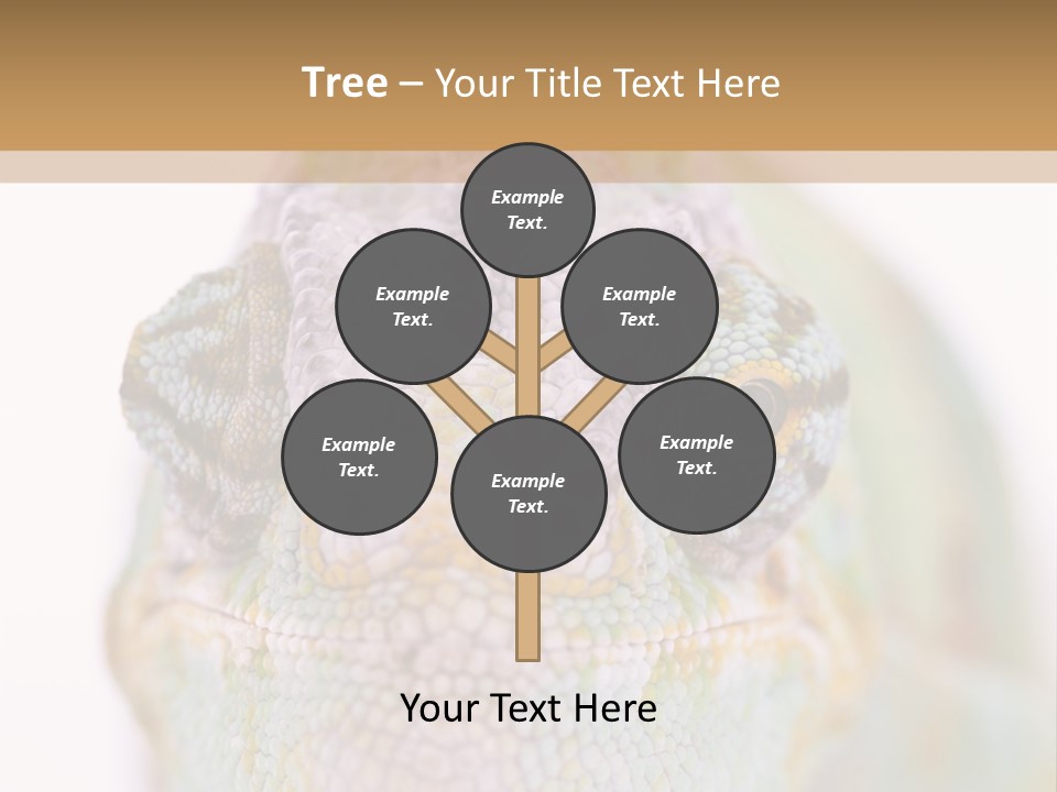 On Top Of Stem Flower PowerPoint Template