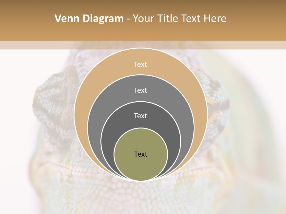 On Top Of Stem Flower PowerPoint Template