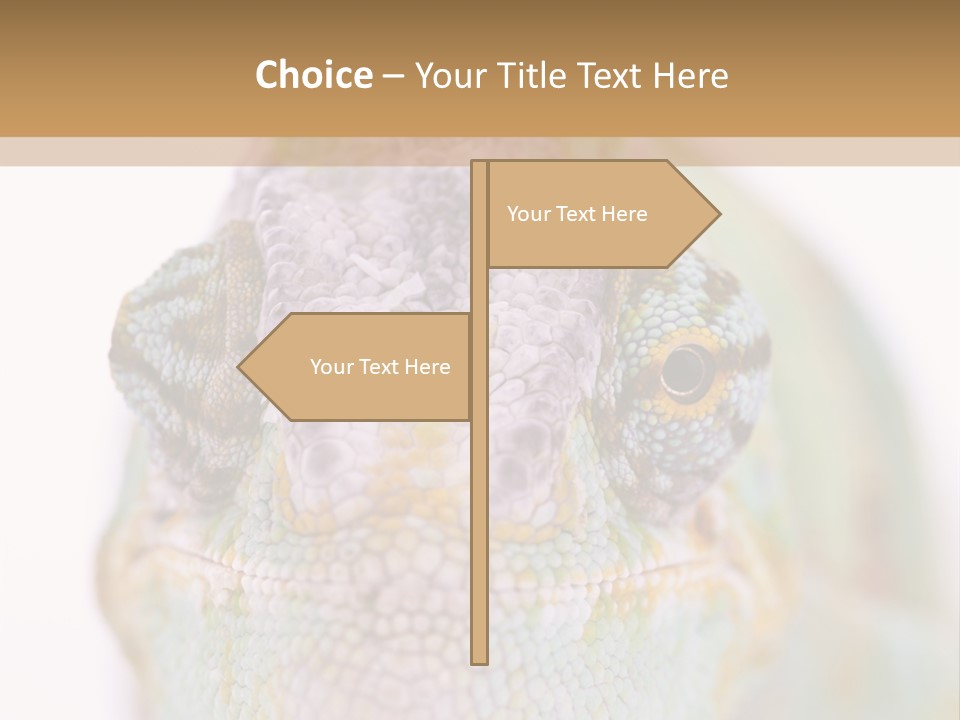 On Top Of Stem Flower PowerPoint Template