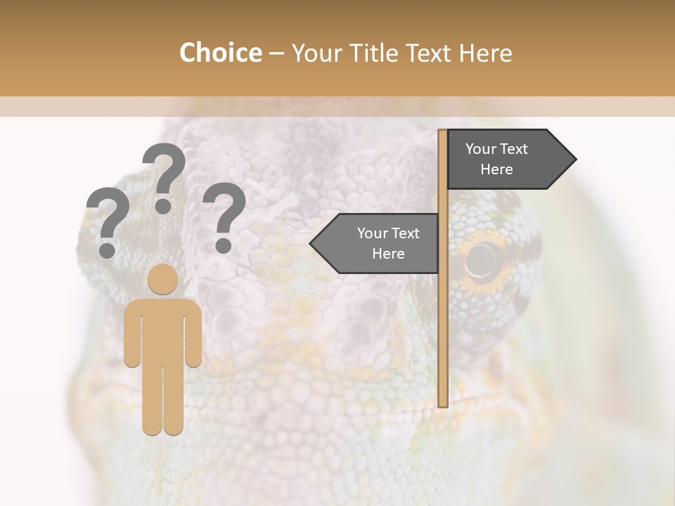 On Top Of Stem Flower PowerPoint Template