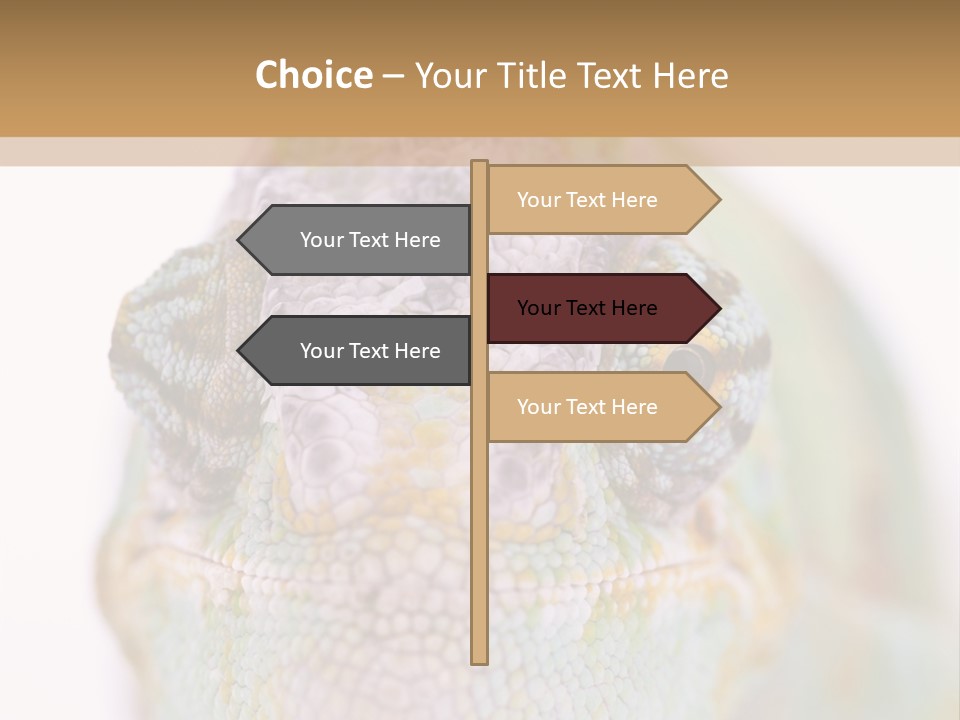 On Top Of Stem Flower PowerPoint Template