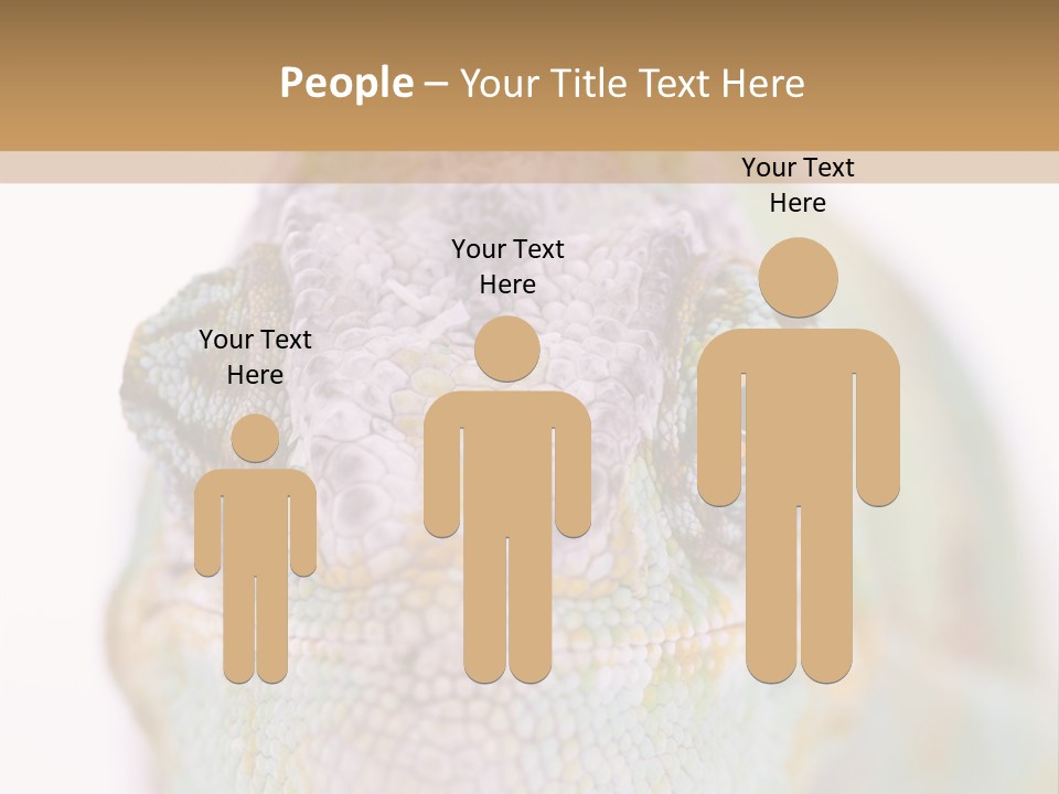 On Top Of Stem Flower PowerPoint Template