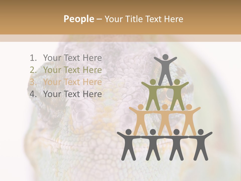 On Top Of Stem Flower PowerPoint Template