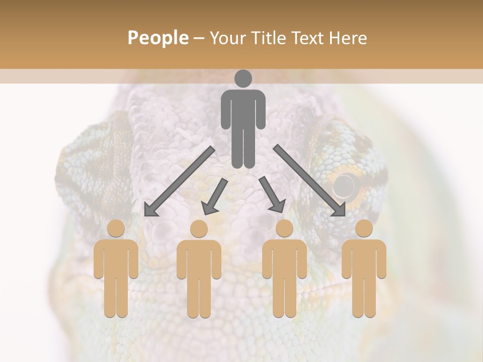 On Top Of Stem Flower PowerPoint Template