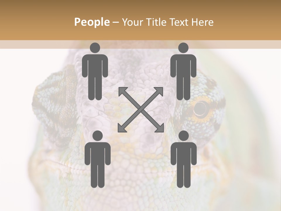 On Top Of Stem Flower PowerPoint Template