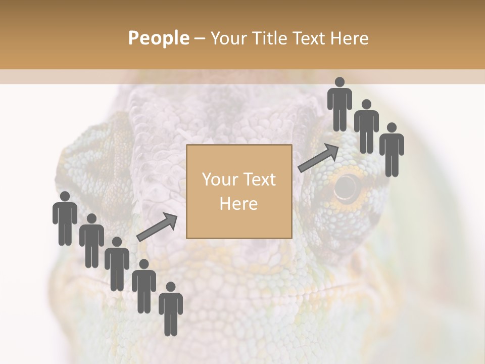 On Top Of Stem Flower PowerPoint Template