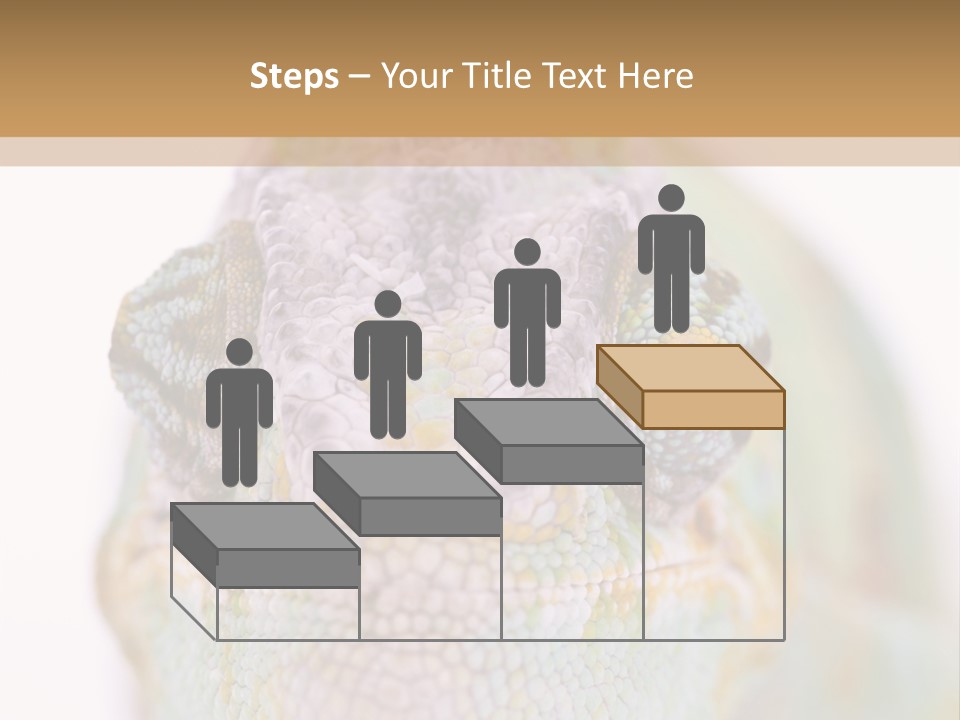 On Top Of Stem Flower PowerPoint Template