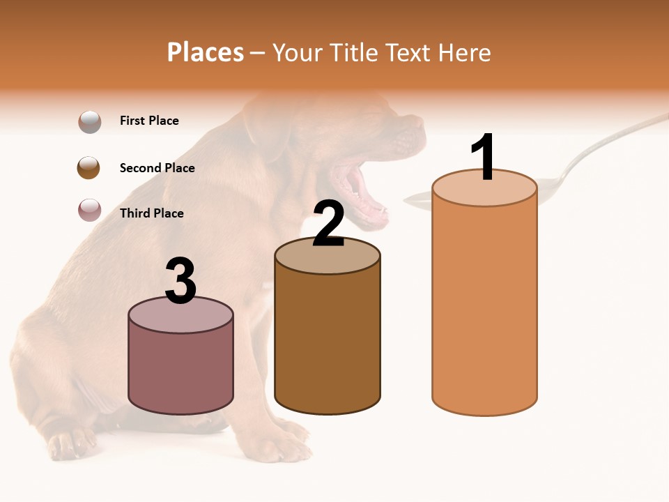 Tongue Healthcare Studio PowerPoint Template