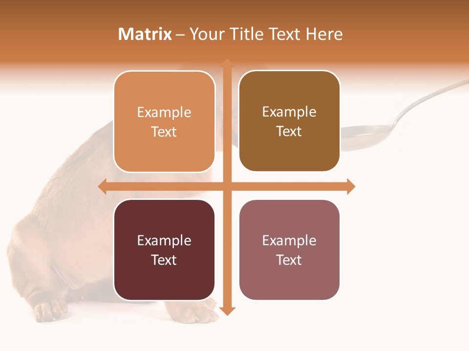 Tongue Healthcare Studio PowerPoint Template