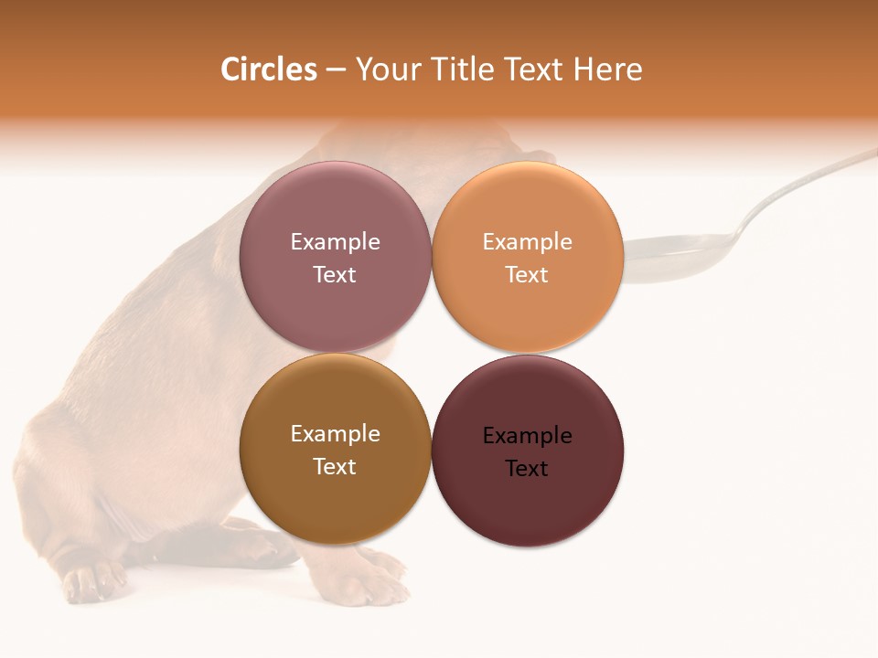 Tongue Healthcare Studio PowerPoint Template