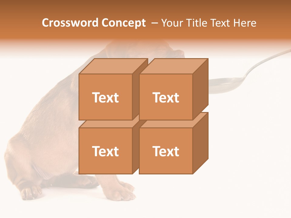 Tongue Healthcare Studio PowerPoint Template