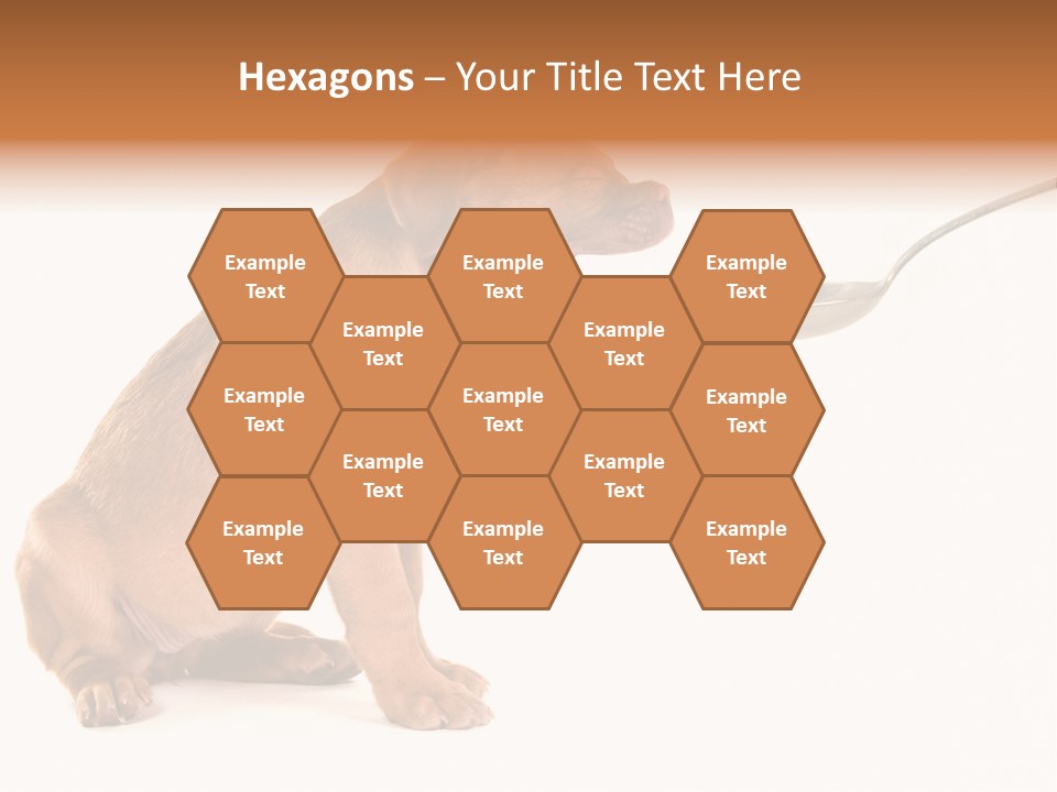 Tongue Healthcare Studio PowerPoint Template