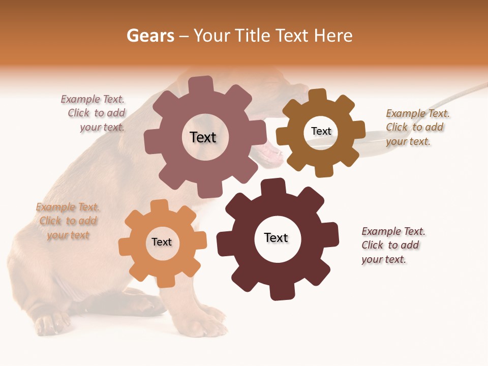 Tongue Healthcare Studio PowerPoint Template