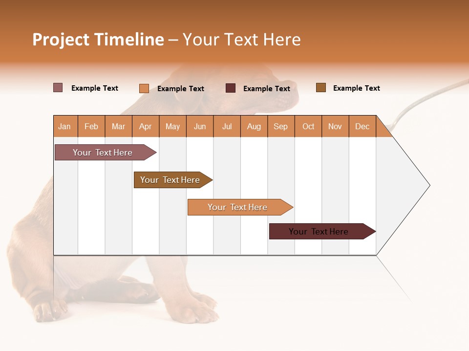 Tongue Healthcare Studio PowerPoint Template