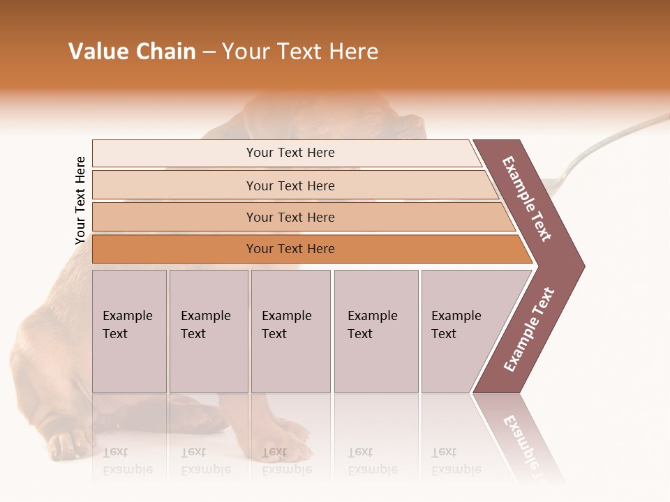 Tongue Healthcare Studio PowerPoint Template