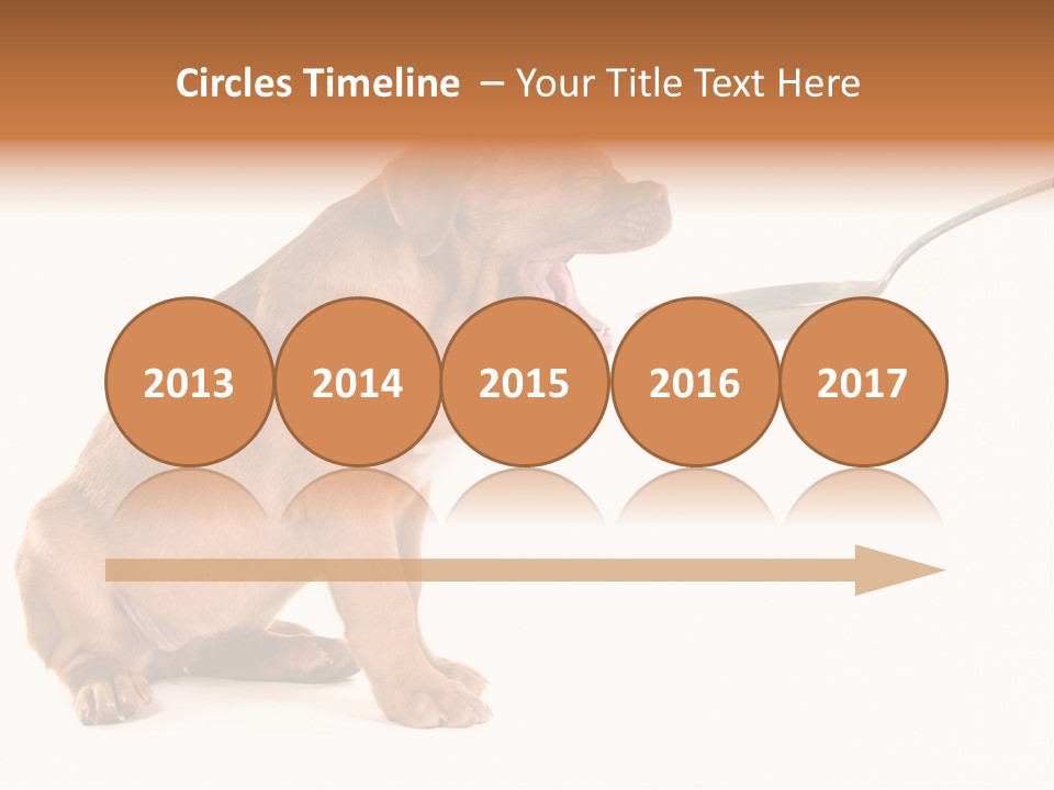 Tongue Healthcare Studio PowerPoint Template