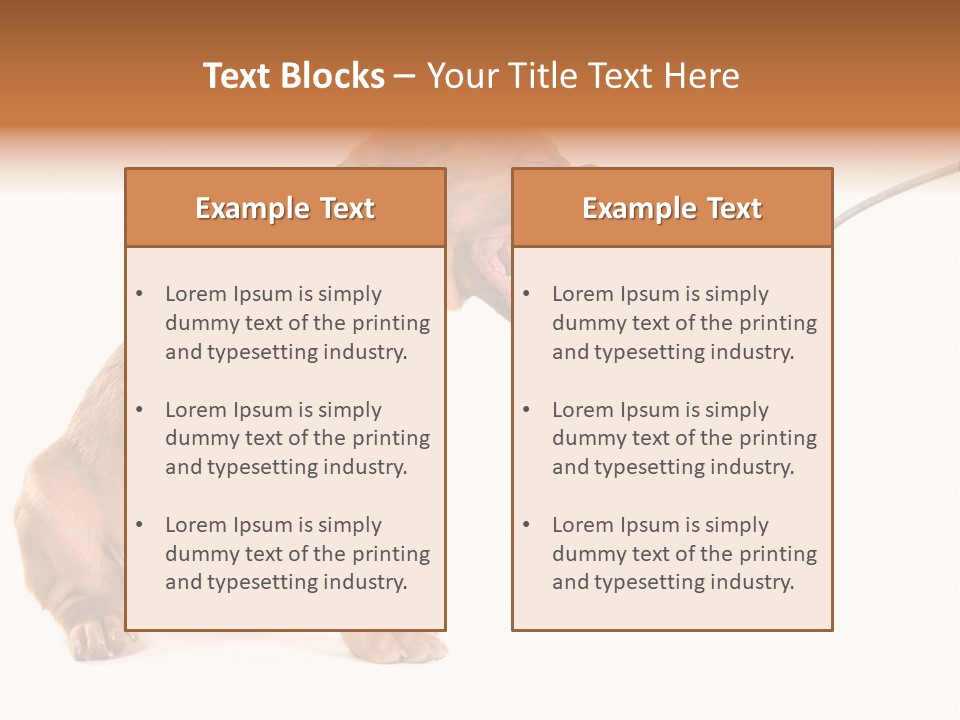 Tongue Healthcare Studio PowerPoint Template