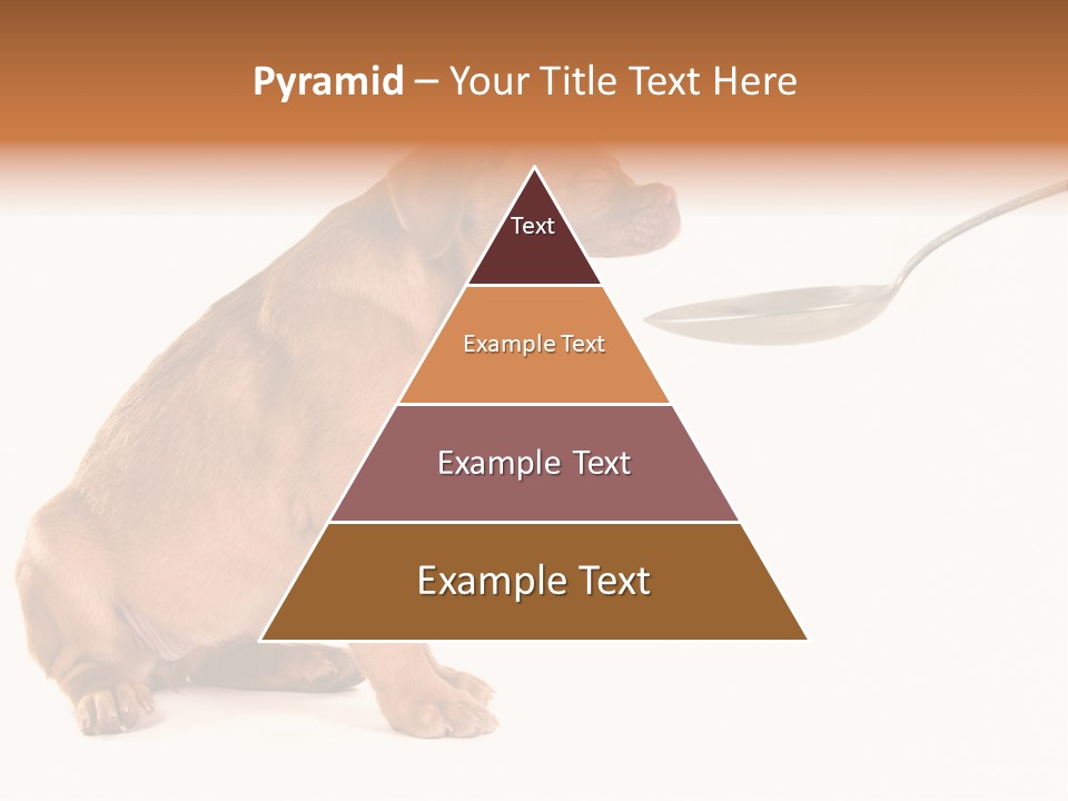 Tongue Healthcare Studio PowerPoint Template