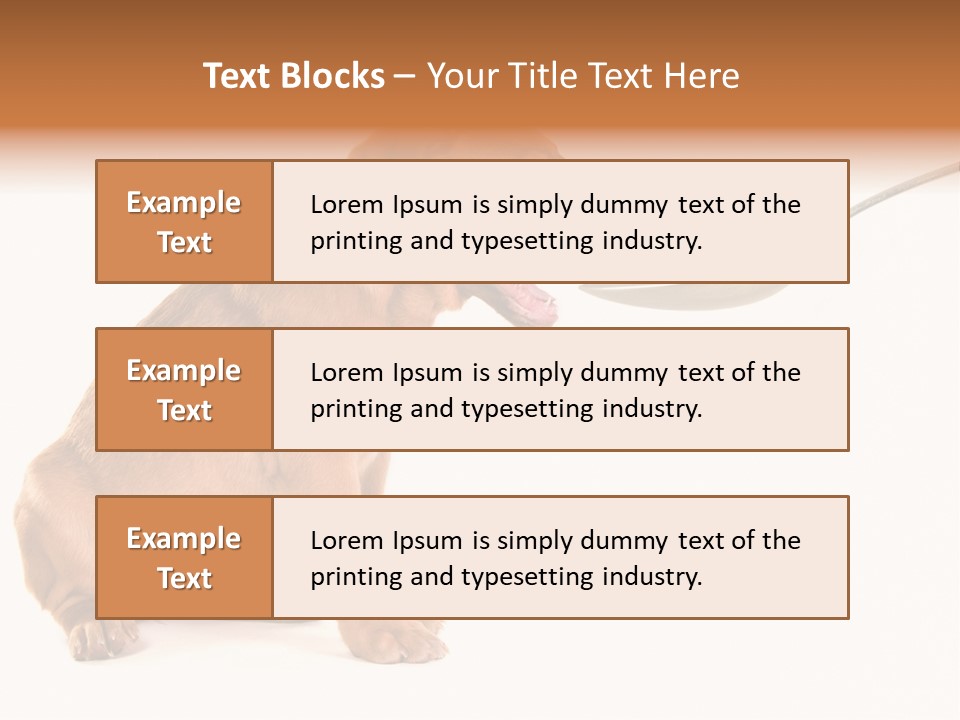 Tongue Healthcare Studio PowerPoint Template