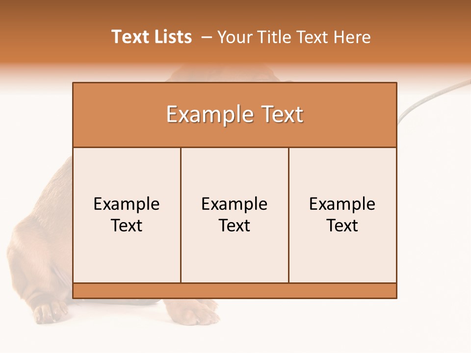 Tongue Healthcare Studio PowerPoint Template