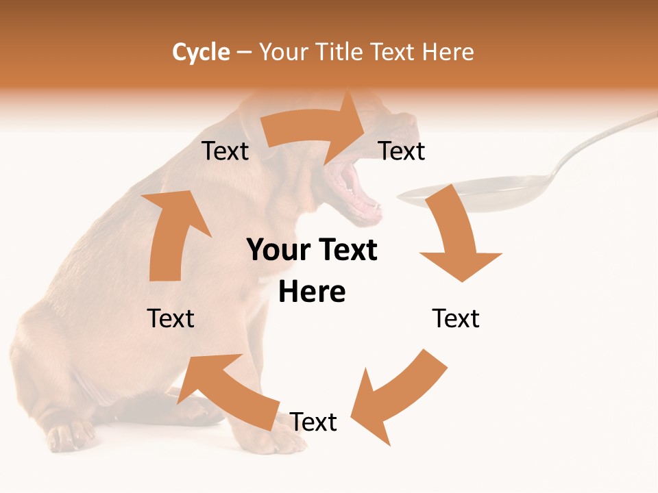 Tongue Healthcare Studio PowerPoint Template