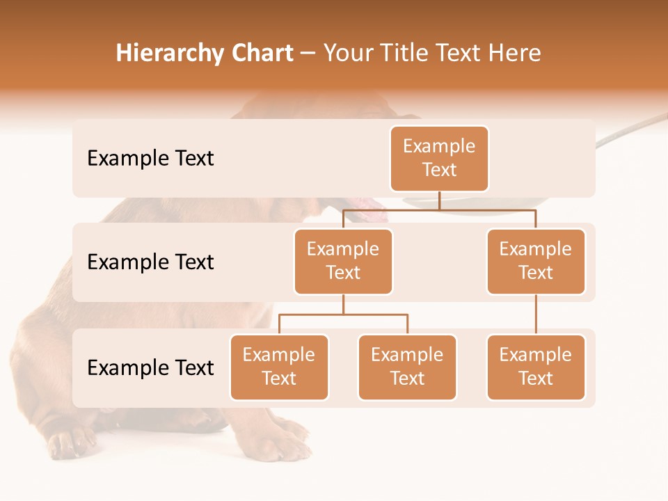 Tongue Healthcare Studio PowerPoint Template