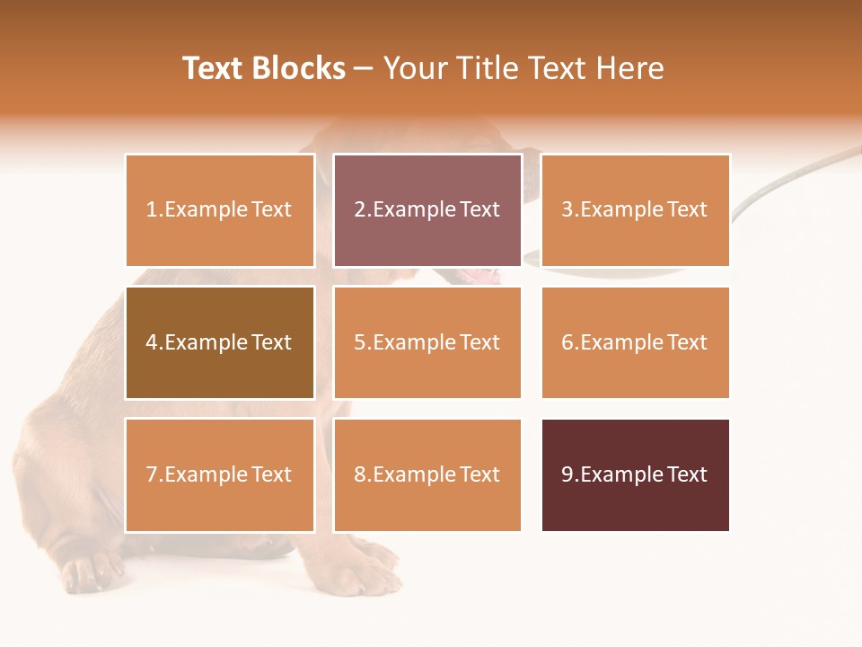 Tongue Healthcare Studio PowerPoint Template