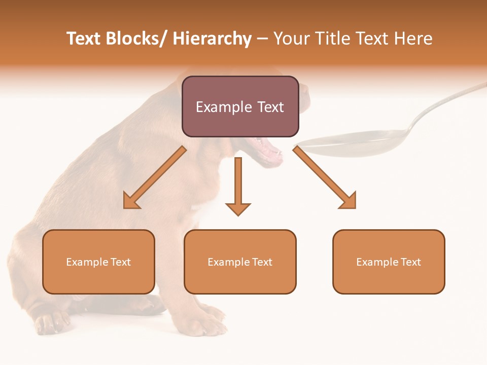 Tongue Healthcare Studio PowerPoint Template