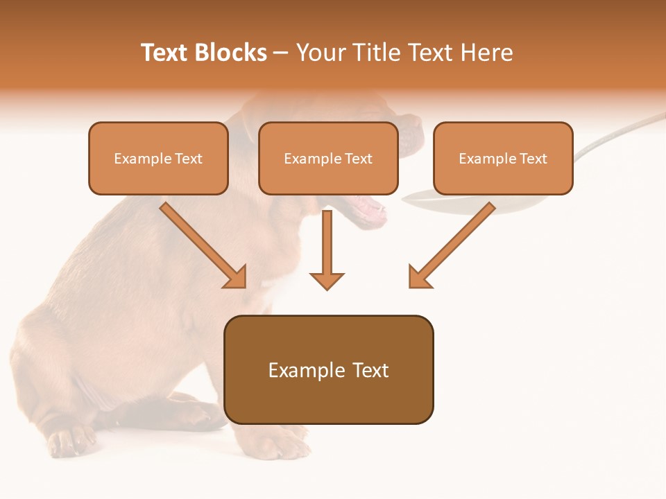 Tongue Healthcare Studio PowerPoint Template