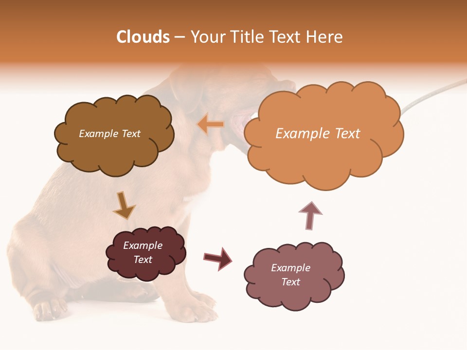 Tongue Healthcare Studio PowerPoint Template
