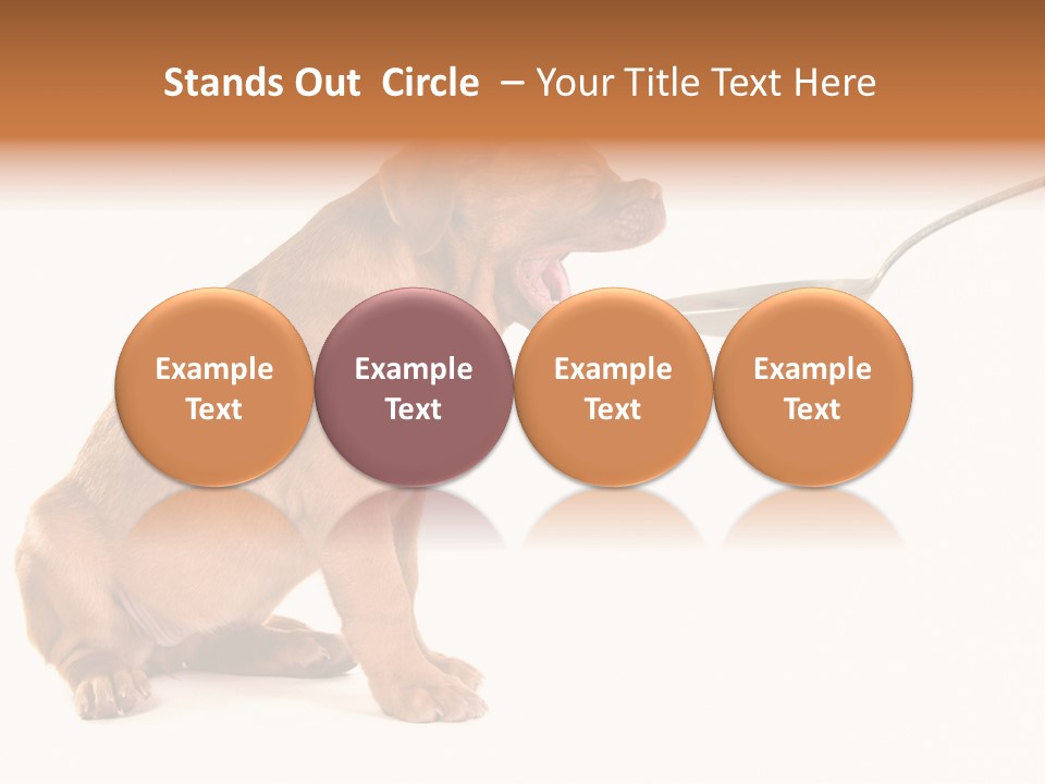 Tongue Healthcare Studio PowerPoint Template