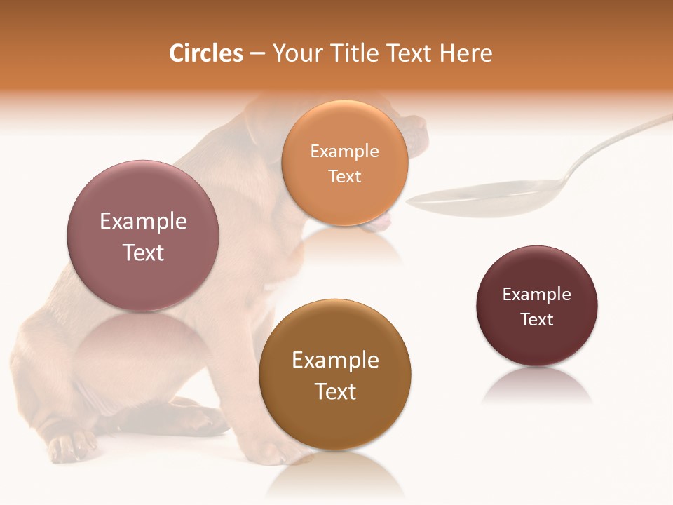 Tongue Healthcare Studio PowerPoint Template