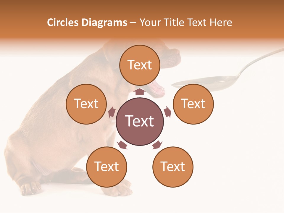 Tongue Healthcare Studio PowerPoint Template