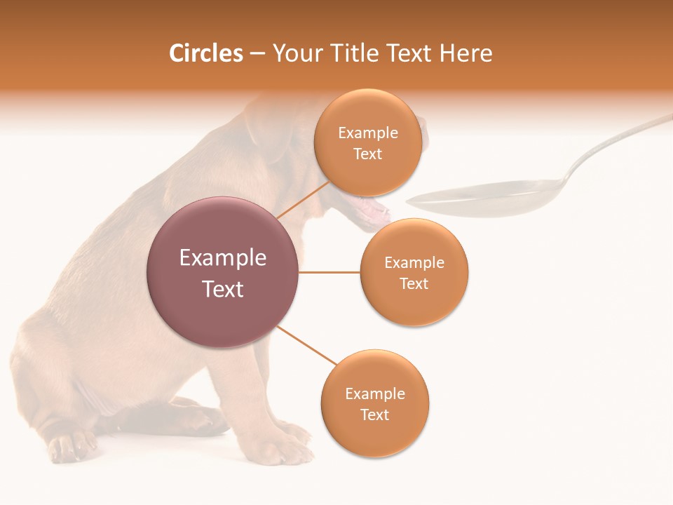 Tongue Healthcare Studio PowerPoint Template