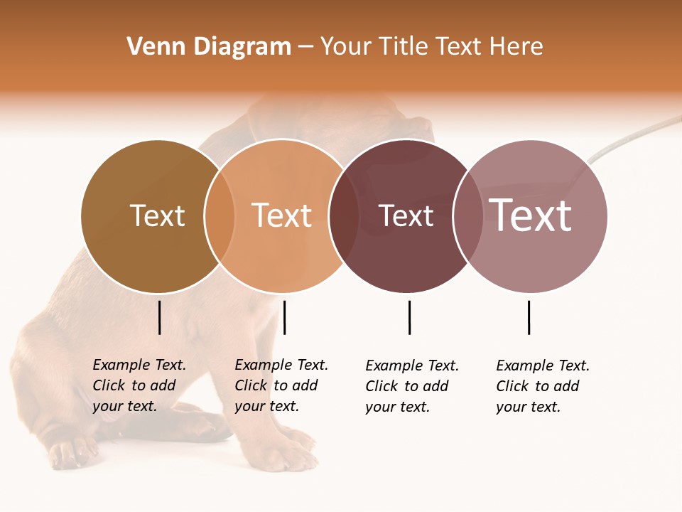 Tongue Healthcare Studio PowerPoint Template