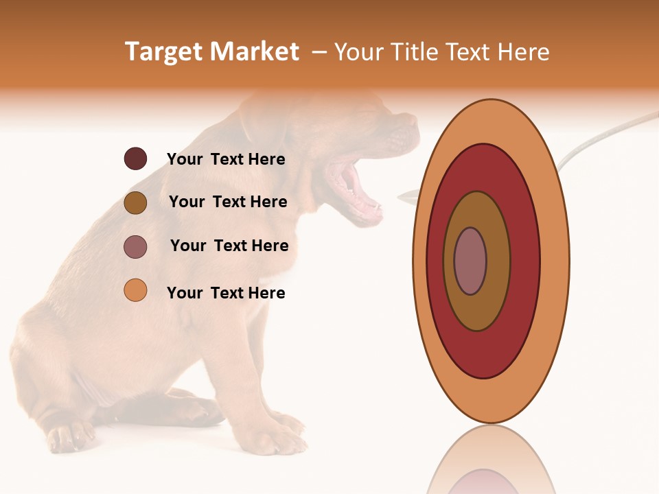 Tongue Healthcare Studio PowerPoint Template