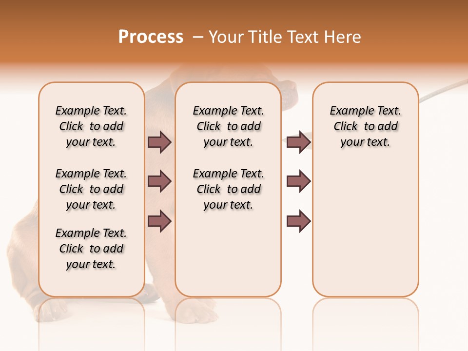 Tongue Healthcare Studio PowerPoint Template
