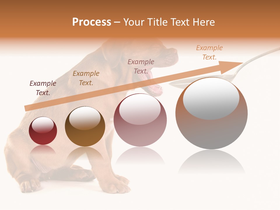 Tongue Healthcare Studio PowerPoint Template