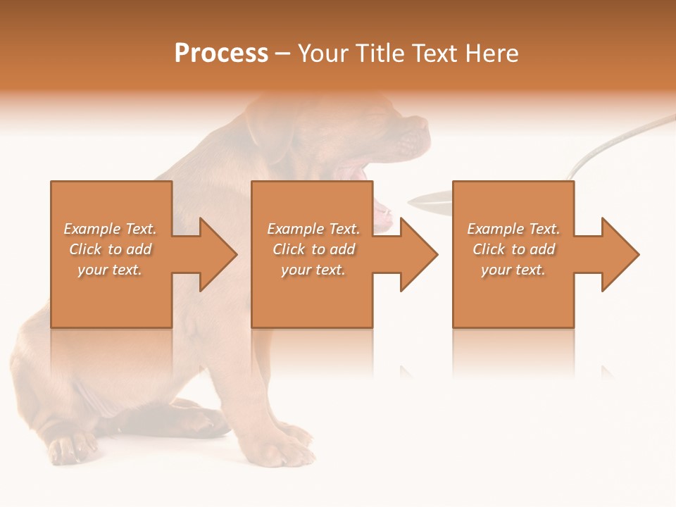 Tongue Healthcare Studio PowerPoint Template