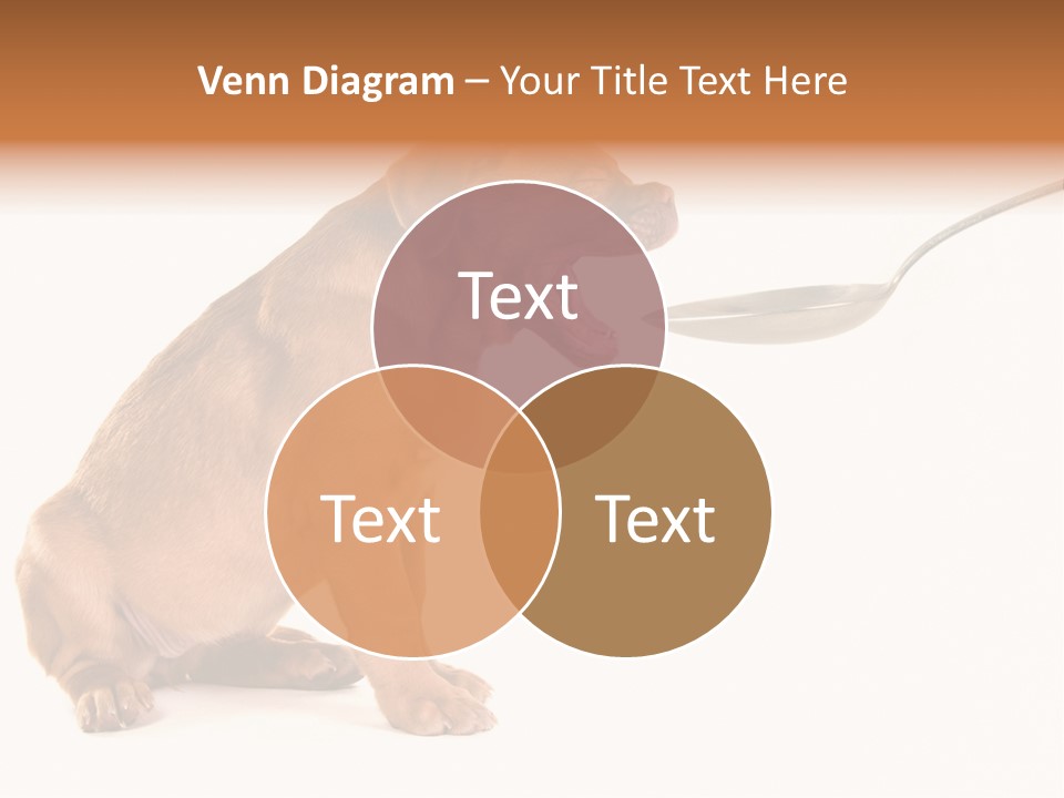 Tongue Healthcare Studio PowerPoint Template