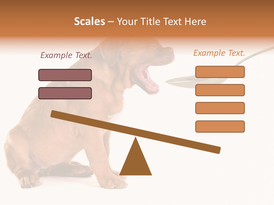 Tongue Healthcare Studio PowerPoint Template