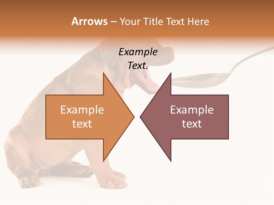 Tongue Healthcare Studio PowerPoint Template